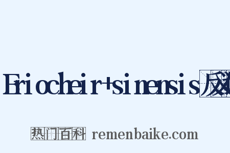 Eriocheir+sinensis反义词是什么意思的图片